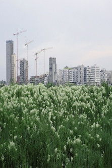 The Best City is No City at All documentary poster