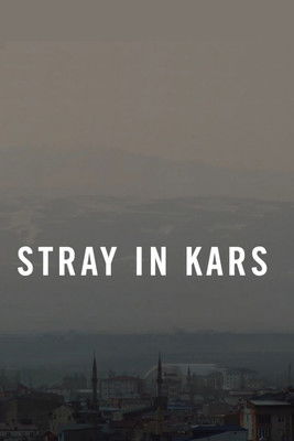 Stray in Kars documentary poster