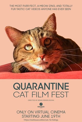 Quarantine Cat Film Festival documentary poster