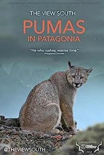 Pumas in Patagonia documentary poster
