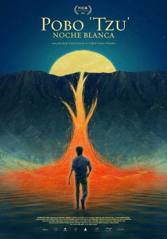 White Night documentary poster