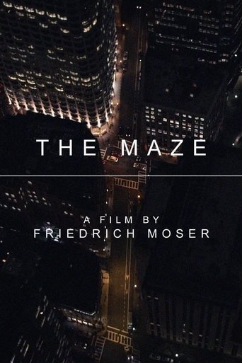 The Maze documentary poster