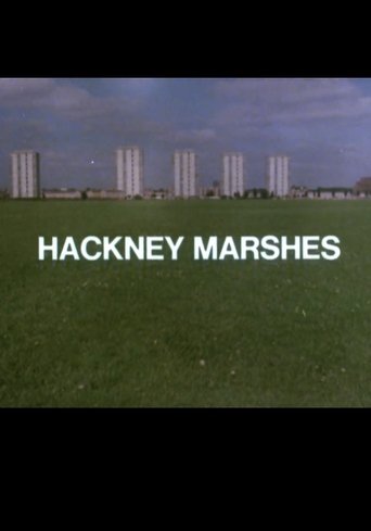 Hackney Marshes poster