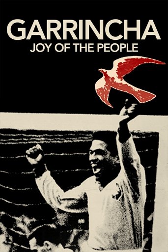 Garrincha: Joy of the People documentary poster