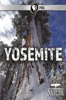 Nature: Yosemite documentary poster