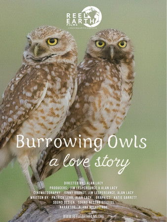 Burrowing Owls: A Love Story documentary poster