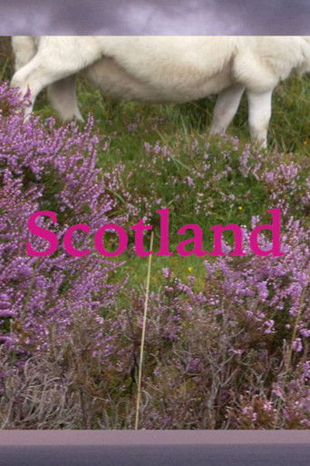 Elizabeth Junor documentary poster