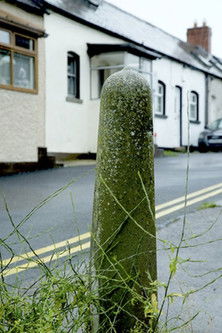 The Lane documentary poster