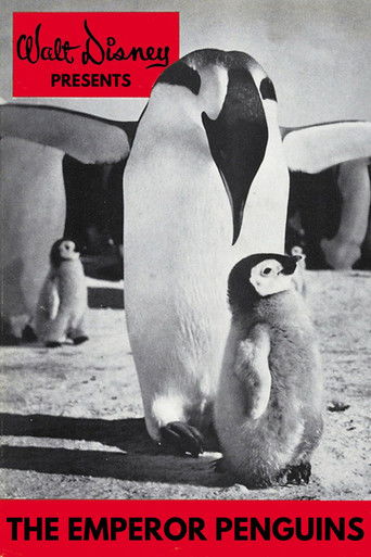 Emperor Penguins documentary poster