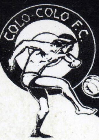 Colo-Colo Un Objeto de Deseo documentary poster