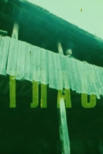 The Voice documentary poster