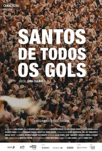 Santos de Todos os Gols documentary poster