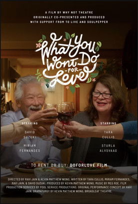 What You Won't Do For Love documentary poster