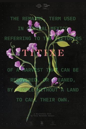 Titixe documentary poster