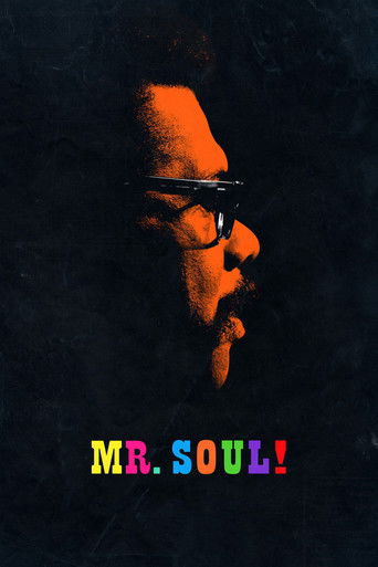 Mr. SOUL! poster