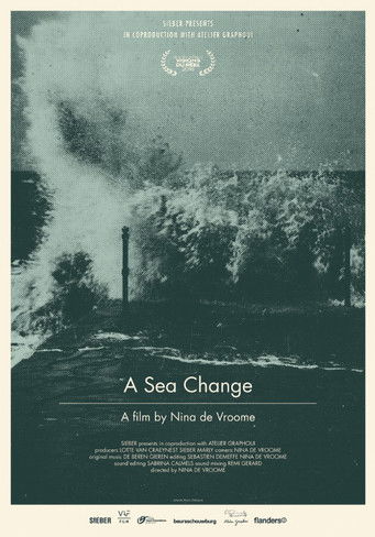 A Sea Change documentary poster