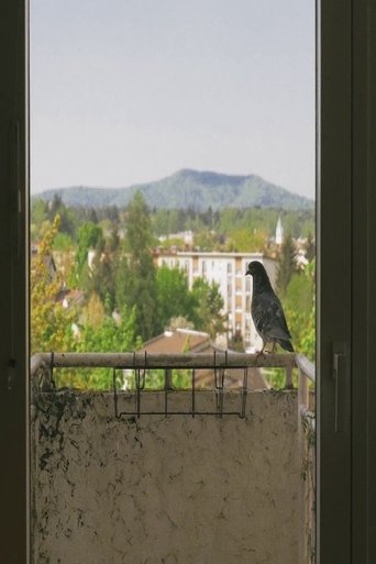 What Day Is It? documentary poster