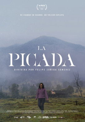 La Picada documentary poster