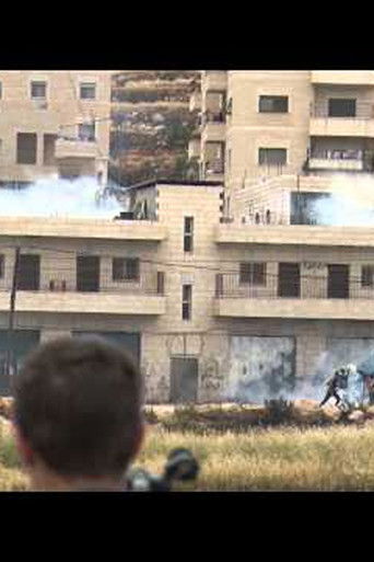 Betunia 16..2014 documentary poster