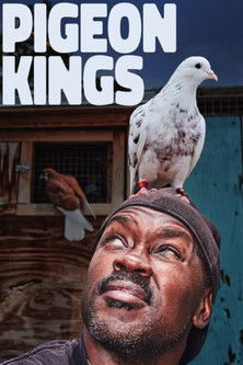 Pigeon Kings documentary poster