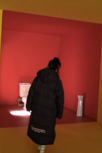 Making of Antiporno documentary poster