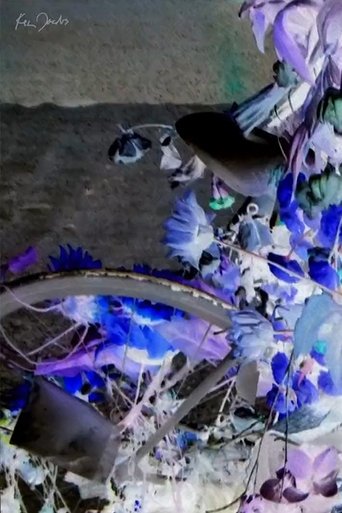 Flowers and Bike documentary poster