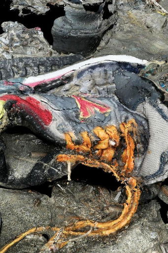 On the Border documentary poster