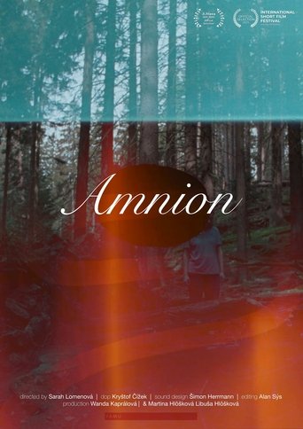 Amnion documentary poster