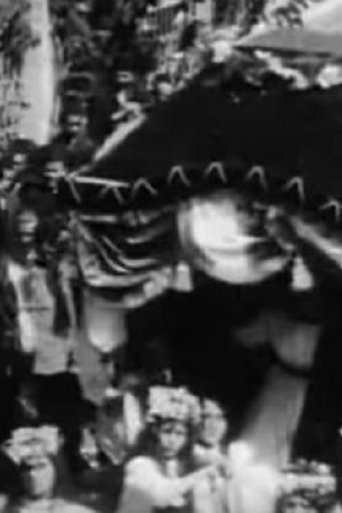 Parade on the Occasion of the Hürriyet documentary poster