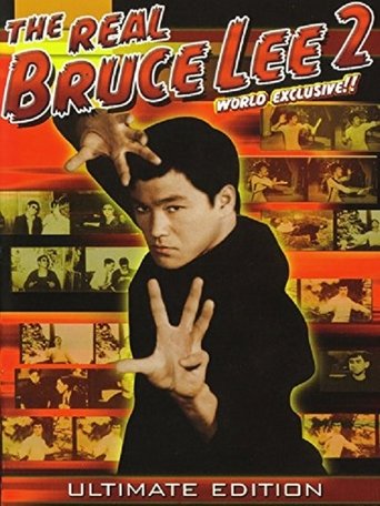 The Real Bruce Lee 2 poster