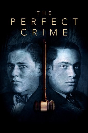 The Perfect Crime: Leopold & Loeb documentary poster