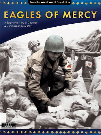 Eagles of Mercy documentary poster