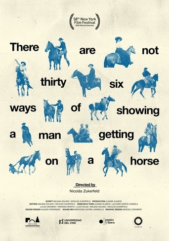 There Are Not Thirty-Six Ways of Showing a Man Getting on a Horse documentary poster