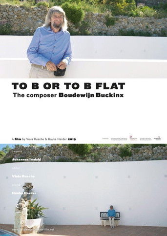 To B or to B Flat - the composer Boudewijn Buckinx documentary poster
