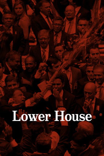 Lower House documentary poster