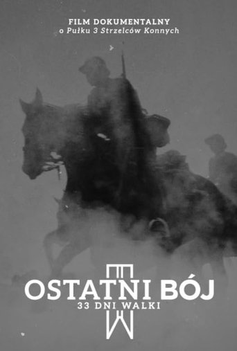 The Last Battle documentary poster