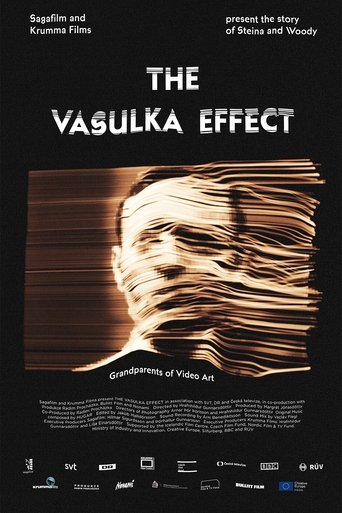 The Vasulka Effect documentary poster