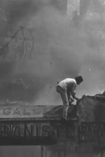 Fire in the Montemolin neighbourhood, Zaragoza documentary poster